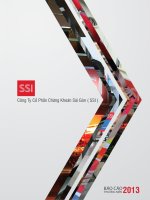 Công ty cổ phần chứng khoán sài gòn SSI báo cáo THƯỜNG NIÊN 2013