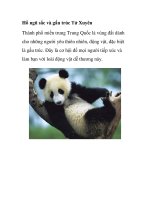 Hồ ngũ sắc và gấu trúc Tứ Xuyên Thành phố miền trung Trung Quốc là vùng đất potx