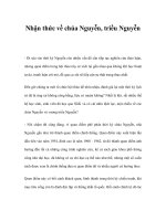 Nhận thức về chúa Nguyễn, triều Nguyễn docx