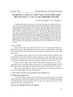 Báo cáo nghiên cứu khoa học: 