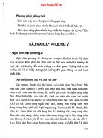 Phòng trừ sâu bệnh hịa cây cảnh part 8 pptx