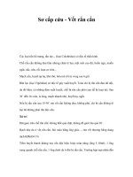 Sơ cấp cứu - Vết rắn cắn pps