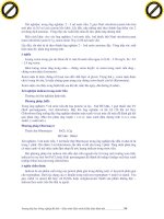 Giáo trình hướng dẫn tìm hiểu về tầm quan trọng của tế bào hồng cầu đối với các loại bệnh do tổn thương mềm phần 10 pdf