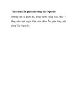 Thác châu Âu giữa núi rừng Tây Nguyên doc