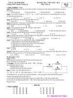 ĐỀ KIỂM TRA 1 TIẾT (2010 – 2011) Môn: Vật lý 11 Mã đề: 1234 ppt