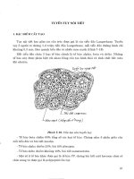 TUYẾN TỤY NỘI TIẾT potx