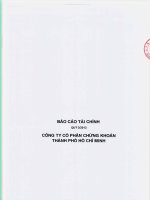báo cáo tài chính quý 3 năm 2013 công ty cổ phần chứng khoán tp hồ chí minh
