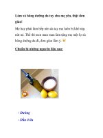 Làm xà bông dưỡng da tay cho mẹ yêu, thật đơn giản! ppsx