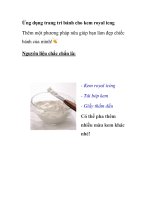 Ứng dụng trang trí bánh cho kem royal icng pot