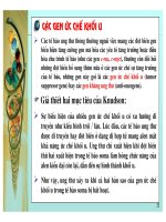 Cơ sở di truyền ung thư part 7 ppt