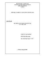 CHUYÊN ĐỀ: HỆ THỐNG NGÂN HÀNG THƯƠNG MẠI CỦA VIỆT NAM pps