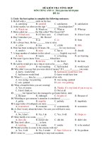 ĐỀ KIỂM TRA TỔNG HỢP MÔN TIẾNG ANH 12 - ĐỀ 24 pps