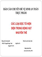 Độc tố trên động vật nhuyễn thể