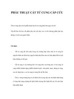 PHẪU THUẬT CẮT TỬ CUNG CẤP CỨU docx