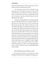 Giáo trình hướng dẫn tìm hiểu về cách thức quản lý tỷ giá hối đoái trong thị trường Việt Nam hiện nay phần 4 docx