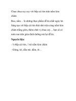 Chua chua cay cay với bắp cải tím trộn nấm kim châm pptx