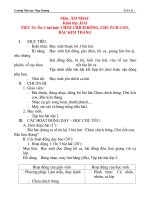 Giáo án âm nhạc lớp 2: Ôn 3 bài hát: CHIM CHÍCH BÔNG, CHÚ ẾCH CON, BẮC KIM THANG pdf