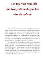 Văn học Việt Nam đổi mới trong bối cảnh giao lưu văn hóa quốc tế pps