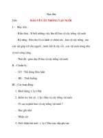 Giáo án lớp 4 môn Đạo đức BẢO VÊ CÂY TRỒNG VẬT NUÔI (tiết 2) docx