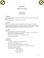 Giáo trình hướng dẫn sử dụng Estrumate để tiêm đề kháng cho động vật phần 6 ppsx