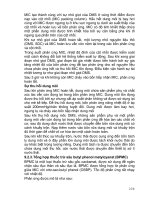 GIÁO TRÌNH TỔNG HỢP HỮU CƠ – HÓA DẦU part 10 doc