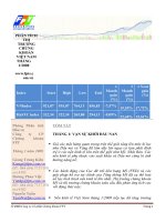 PHÂN TÍCH THỊ TRƯỜNG CHỨNG KHOÁN VIỆT NAM THÁNG 1 năm 2008 phòng phân tích đầu tư công ty CP chứng khoán FPT