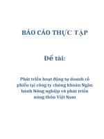 Đề tài: Phát triển hoạt động tự doanh cổ phiếu tại công ty chứng khoán Ngân hành Nông nghiệp và phát triển nông thôn Việt Nam doc