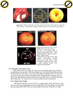 Giáo trình hướng dẫn cách sử dụng máy ghi hình phóng xạ điện tử trong chẩn đoán bệnh phần 7 ppt