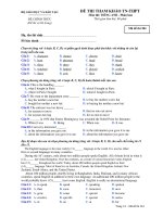 ĐỀ THI THAM KHẢO TN-THPT Môn thi: TIẾNG ANH - Mã đề thi 384 doc