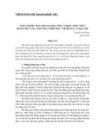 Báo cáo nghiên cứu khoa học: 