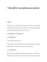 Viêm phổi do mycoplasma pneumoniae pot