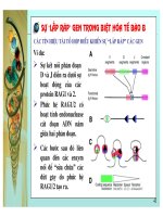 Điều hòa gene hệ miễn dịch ở động vật có xương sống part 9 ppsx