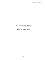 Báo cáo sở công thương moit ict index 2013