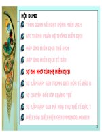 Điều hòa gene hệ miễn dịch ở động vật có xương sống part 7 pdf