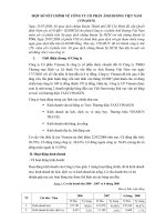 Những nét chính về công ty cổ phần ánh dương việt nam vinasun