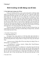 Chương 2 Sinh trưởng và bất động của tế bào doc