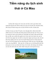 Tiềm năng du lịch sinh thái ở Cà Mau potx