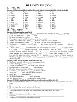 ĐỀ LUYỆN THI ( SỐ 1) pps