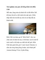 Trải nghiệm cảm giác nổi bồng bềnh trên Biển Chết pdf