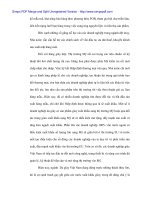 Quan hệ Thương mại Việt Mỹ và vấn đề xuất khẩu hàng Việt Nam sang Mỹ - 7 potx