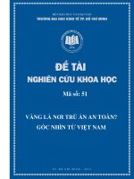 Vàng có là nơi trú ẩn an toàn? Góc nhìn từ Việt Nam