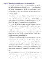 Hàng dệt may Việt Nam trên thị trường Nhật và phương hướng thúc đẩy - 4 docx