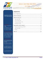 BÁO cáo THỊ TRƯỜNG quý i năm 2011 phòng phân tích đầu tư CTCP chứng khoán FPT