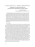 Báo cáo nghiên cứu khoa học: 