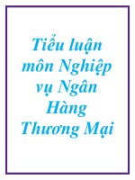 Tiểu luận môn Nghiệp vụ NHTM doc
