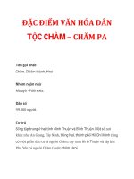 ĐẶC ĐIỂM VĂN HÓA DÂN TỘC CHÀM – CHĂM PA doc