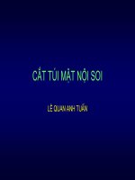 CẮT TÚI MẬT NỘI SOI pot