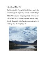 Mây trắng ở Lâm Chi Địa khu pptx