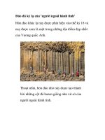 Đảo đá kỳ lạ của ''''người ngoài hành tinh'''' pptx