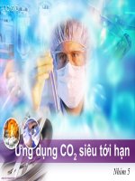 Bài thuyết trình môn sản xuất dược phẩm  đóng gói CO2 siêu tới hạn